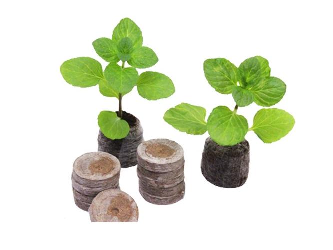 Viên nén ươm hạt (10 viên)