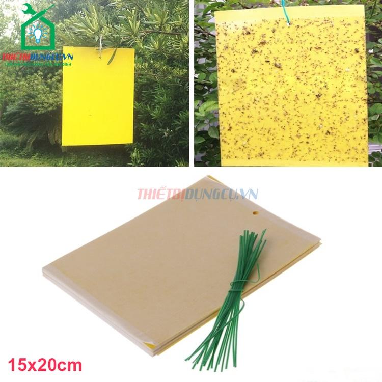 5 miếng bẫy côn trùng nông nghiệp khổ 15x20