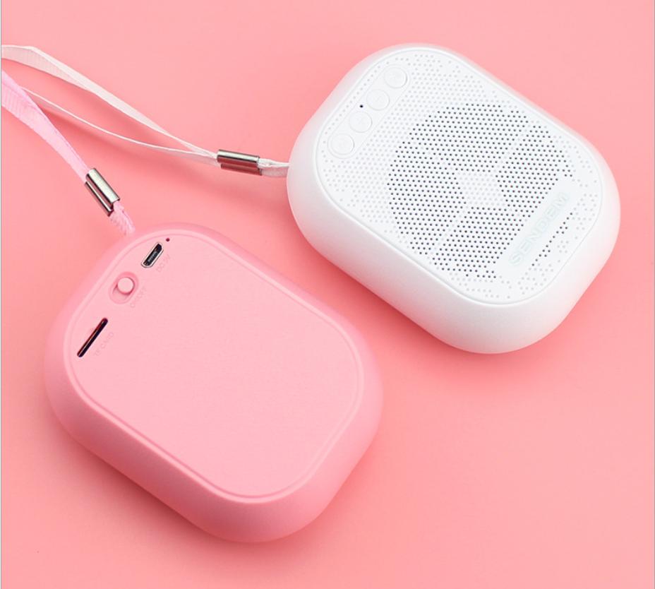 Loa Bluetooth mini Sendem F1-3W