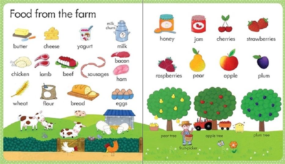 Sách tiếng Anh USborne - My first word book on the Farm