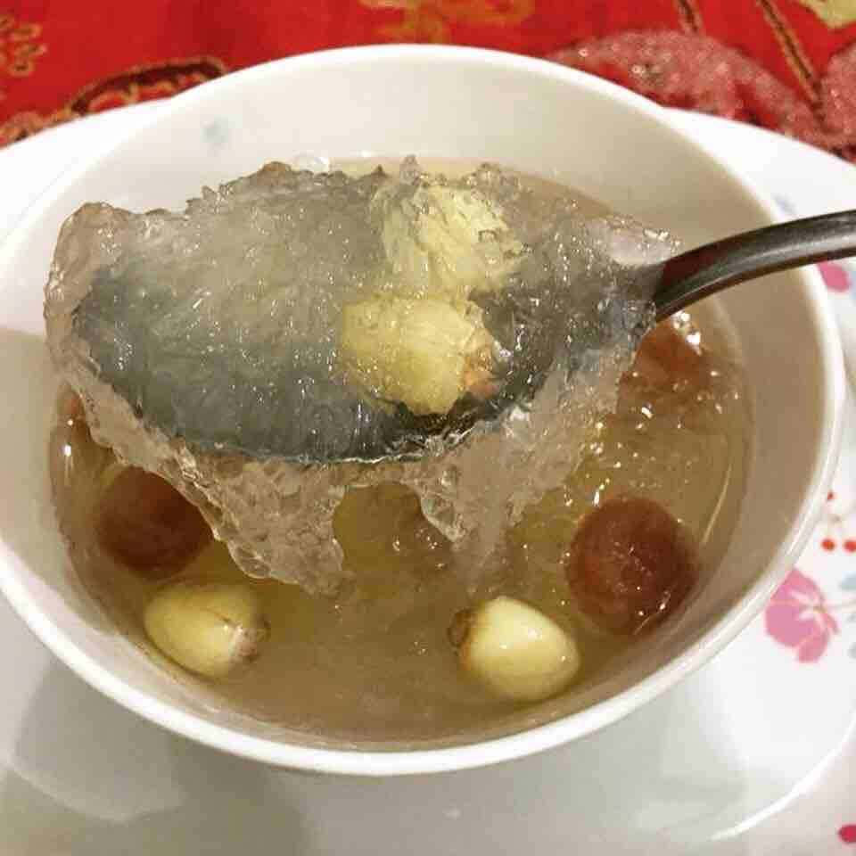 Combo 10 phần Yến sào tinh chế cao cấp