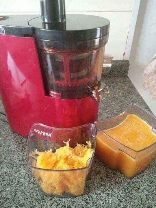 MÁY ÉP CHẬM HOA QUẢ MÃ SAVTM.