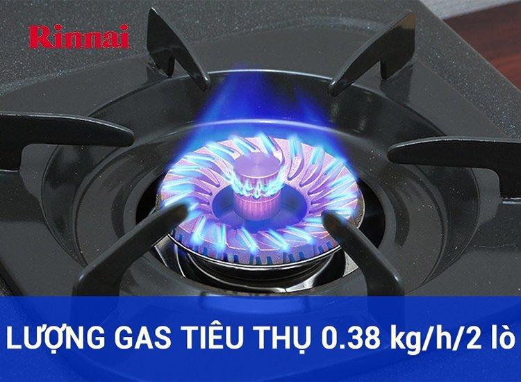 [NTT] Bếp ga đôi Rinnai RV-365S (inox)