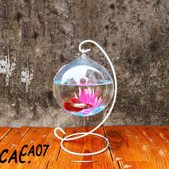 Bể cá mini để bàn giá treo chữ C