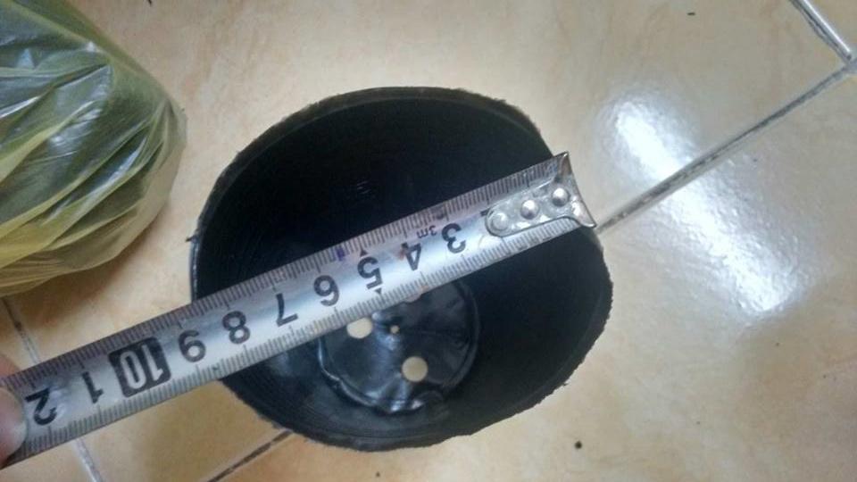 2KG CHẬU NHỰA MỀM ƯƠM CÂY  (BỊCH, TÚI BẦU) 10X10 (2kg =  khoảng 1010 chậu 10x10)