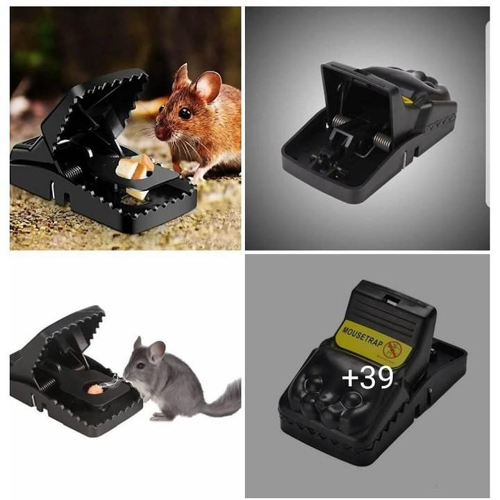 Combo 3 Kẹp bẫy chuột thông minh