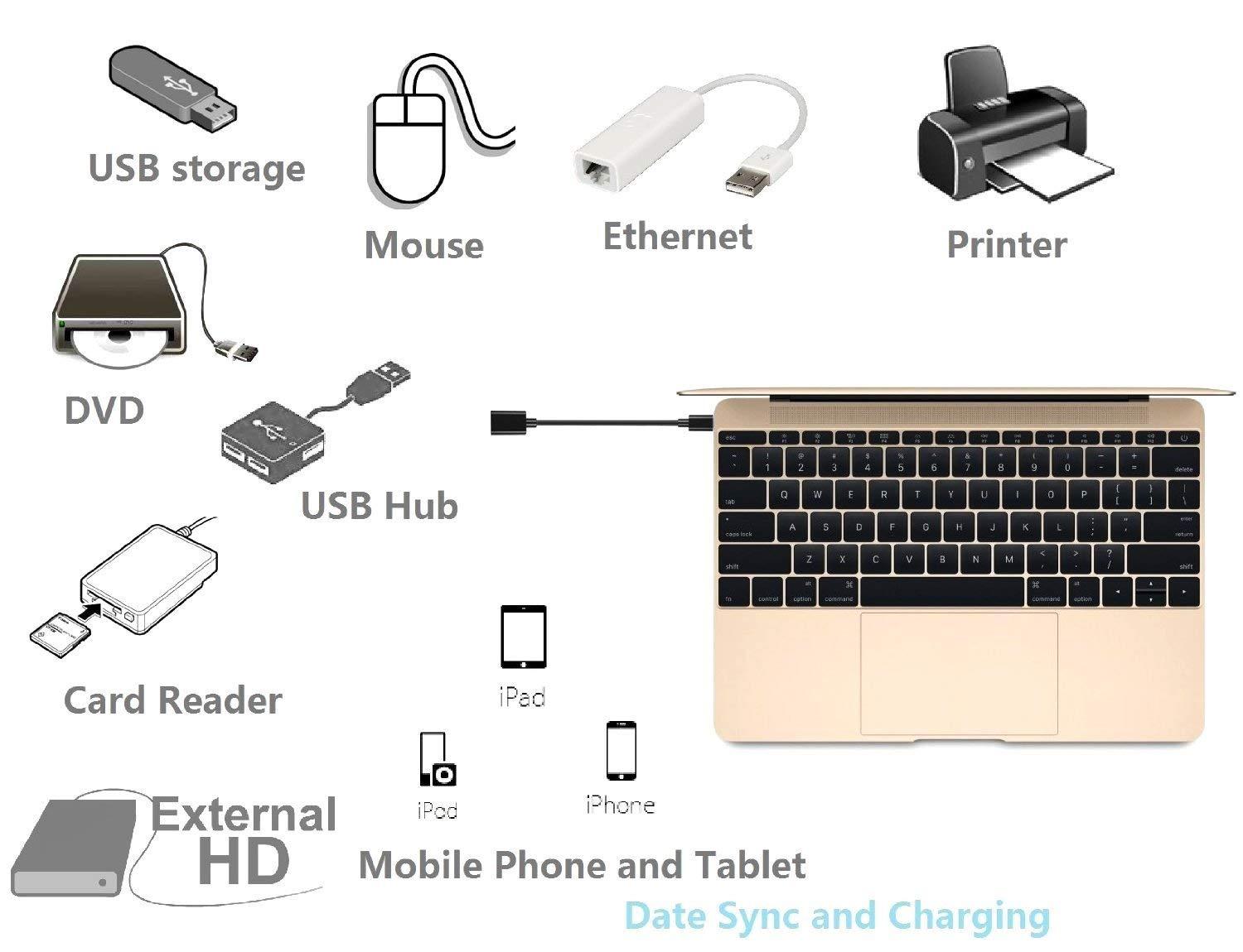 Cáp OTG Type C kết nối Chuột, USB... với điện thoại