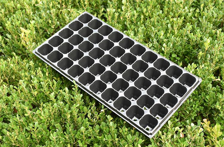 Bộ 5 khay ươm hạt giống 50 lỗ