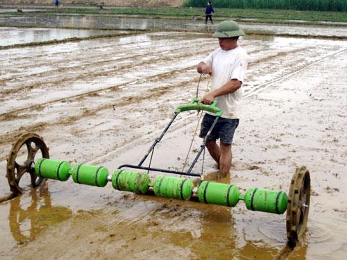 Máy sạ lúa thủ công 6 trống kéo tay