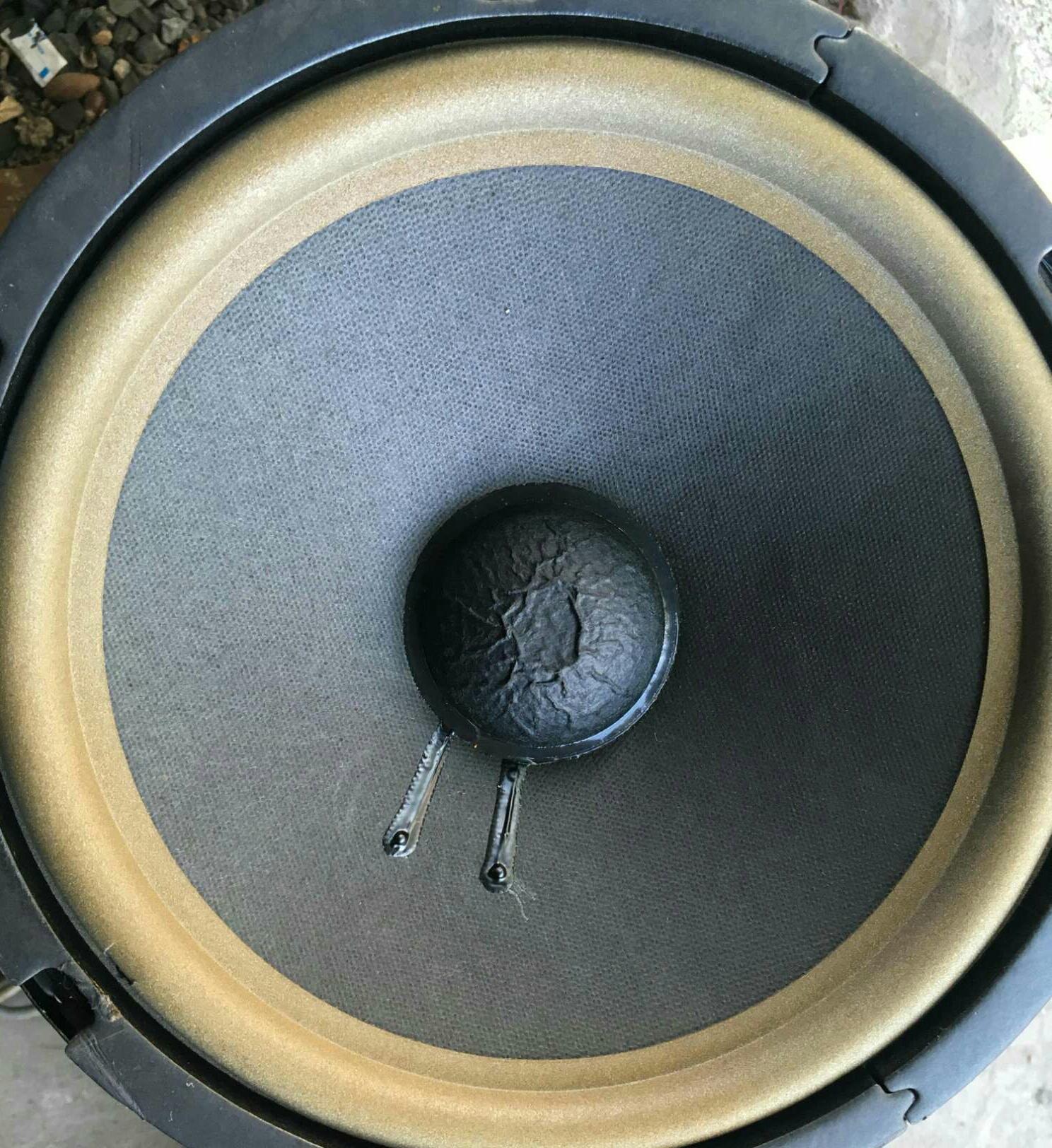 Loa bát 25cm JBL karaoke DJ