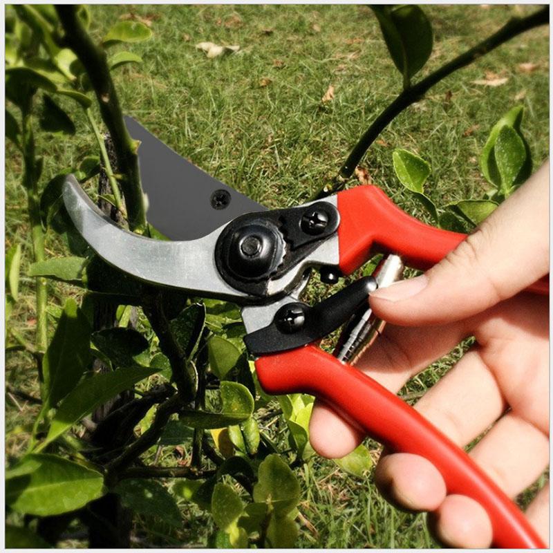 Kéo cắt tỉa cành cây KCTC.D01
