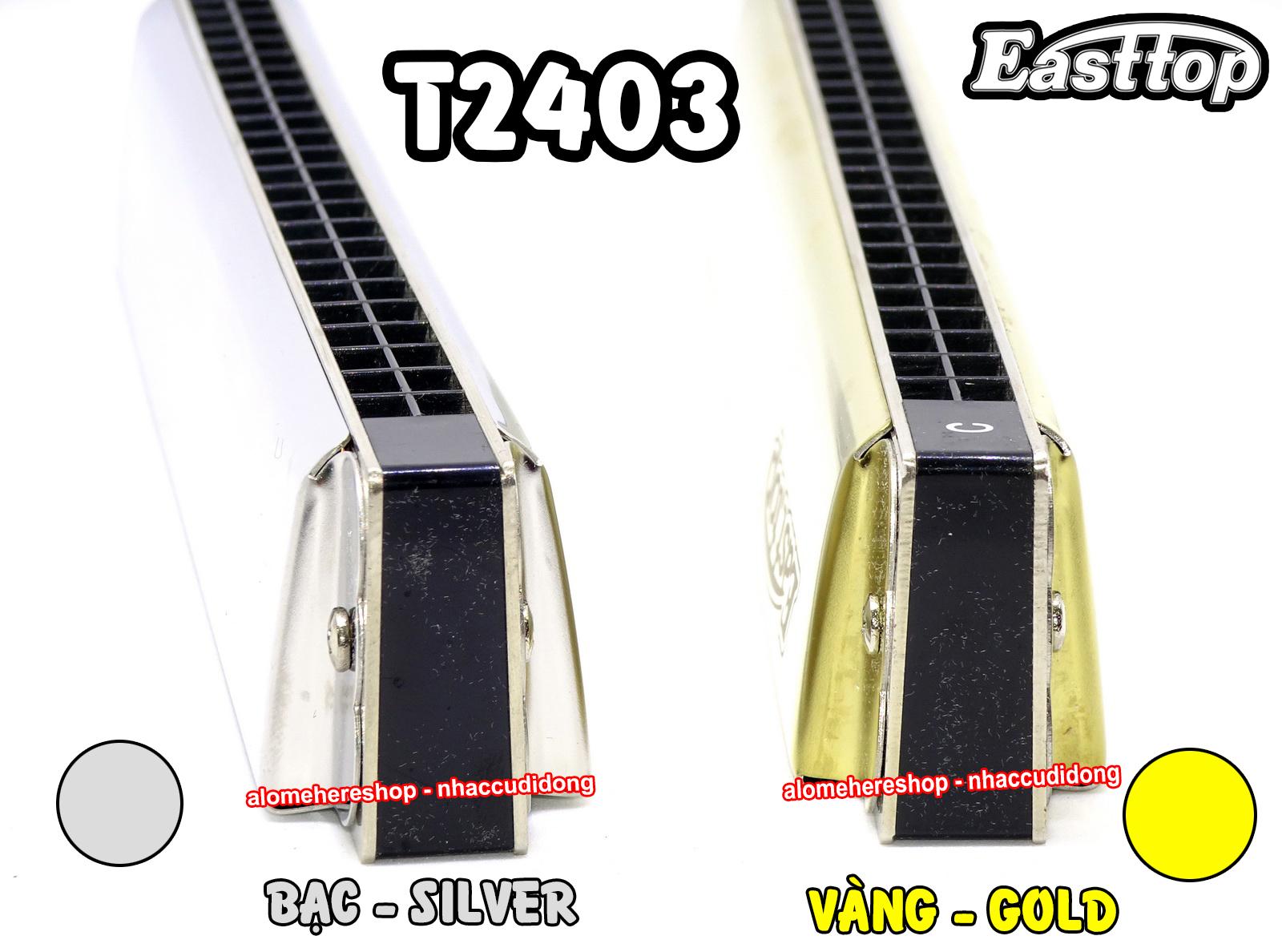 Kèn harmonica tremolo Easttop T2403 Key C