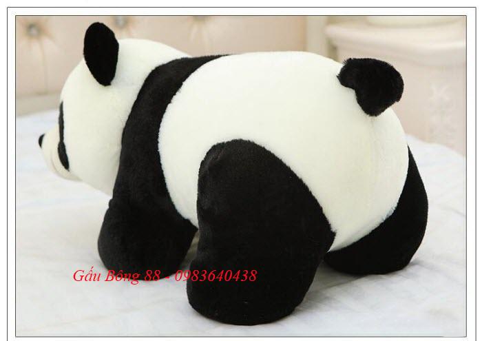 Gấu bông gấu trúc nằm size 60 cm ( như ảnh thật )