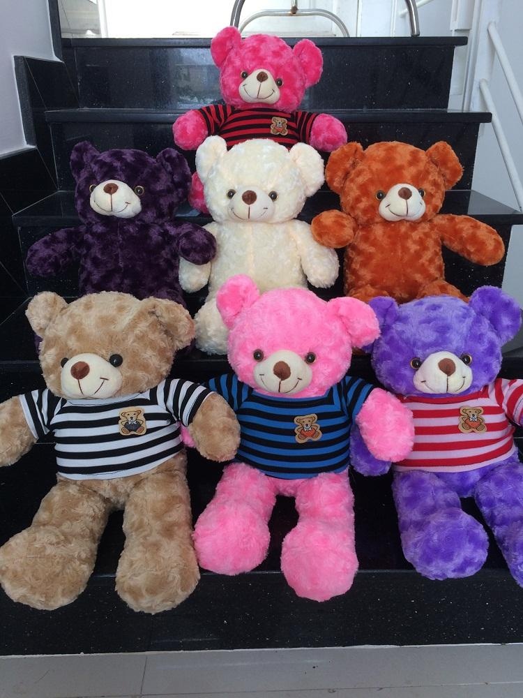 Gấu bông Teddy HTQ 50 cm