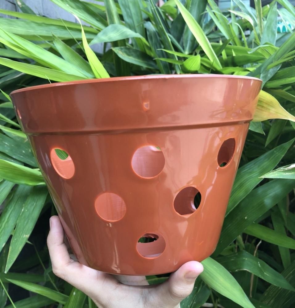 Bộ 5 chậu lan giả đất nung đường kính miệng 20cm