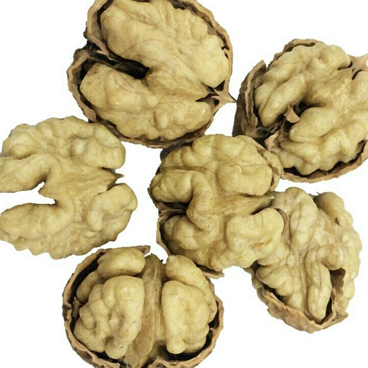 Combo 2kg óc chó.