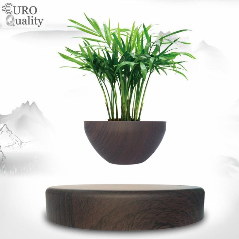 Cây bonsai bay lơ lửng vân gỗ Đen - Euro Quality