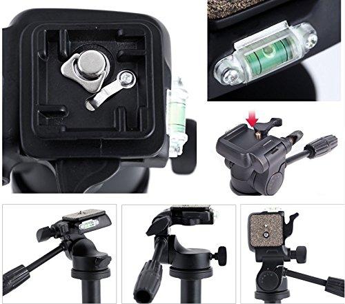 Chân máy ảnh Tripod Weifeng WF-6663A