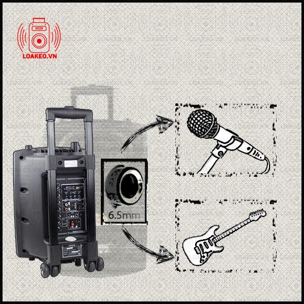 Loa Temeisheng DP-131L