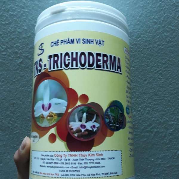 Chế phẩm sinh học Trichoderma