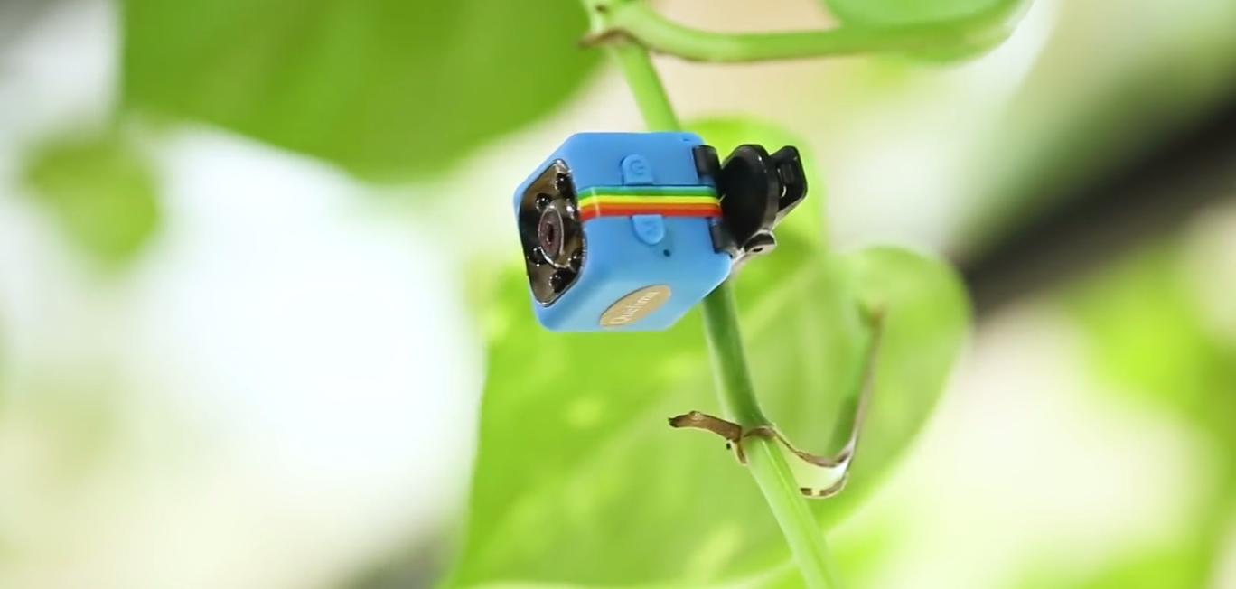 Camera mini SQ11