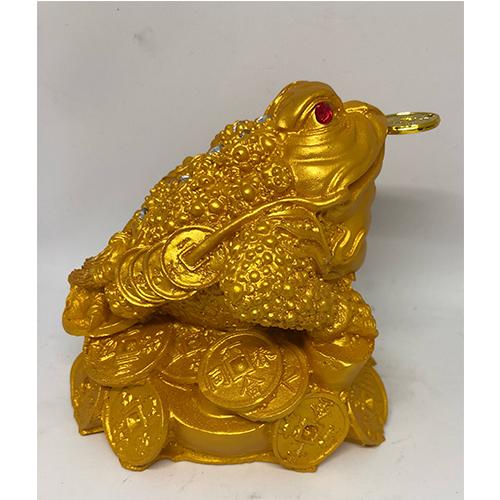 Cóc vàng poly nhỏ PT0091