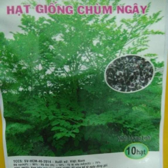 Hạt giống chùm ngây - gói 10 hạt - chùm ngây 10