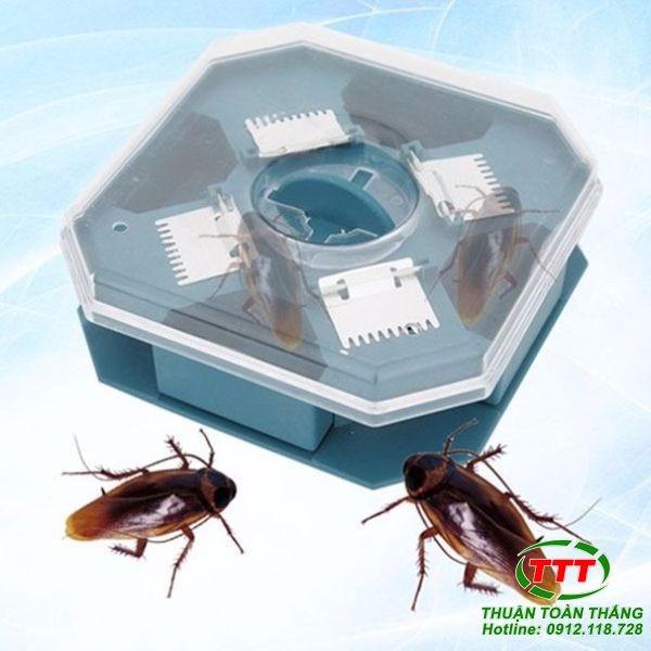 Bẫy diệt bắt gián thông minh
