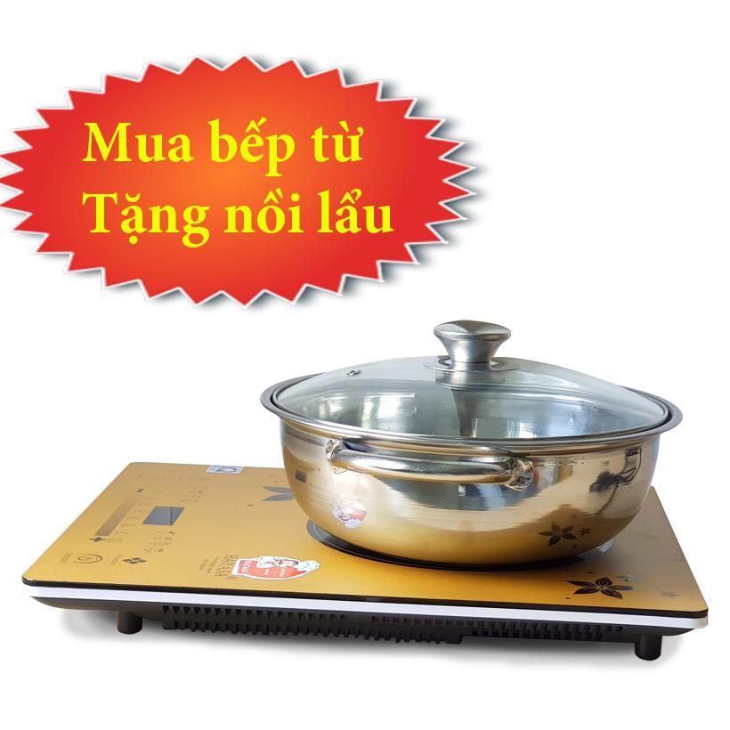 Bếp Điện Từ Hayasa Ha-790 Slim (Tặng Nồi Lẩu Inox Cao Cấp)