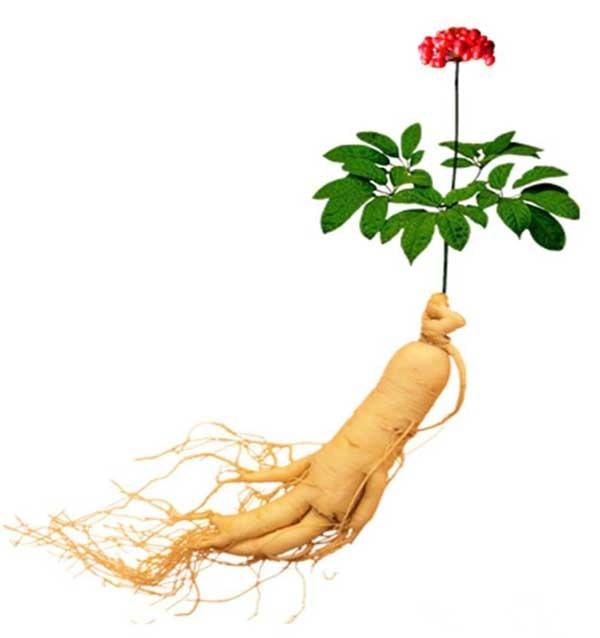 Nước sâm tươi có củ - hộp 10 chai