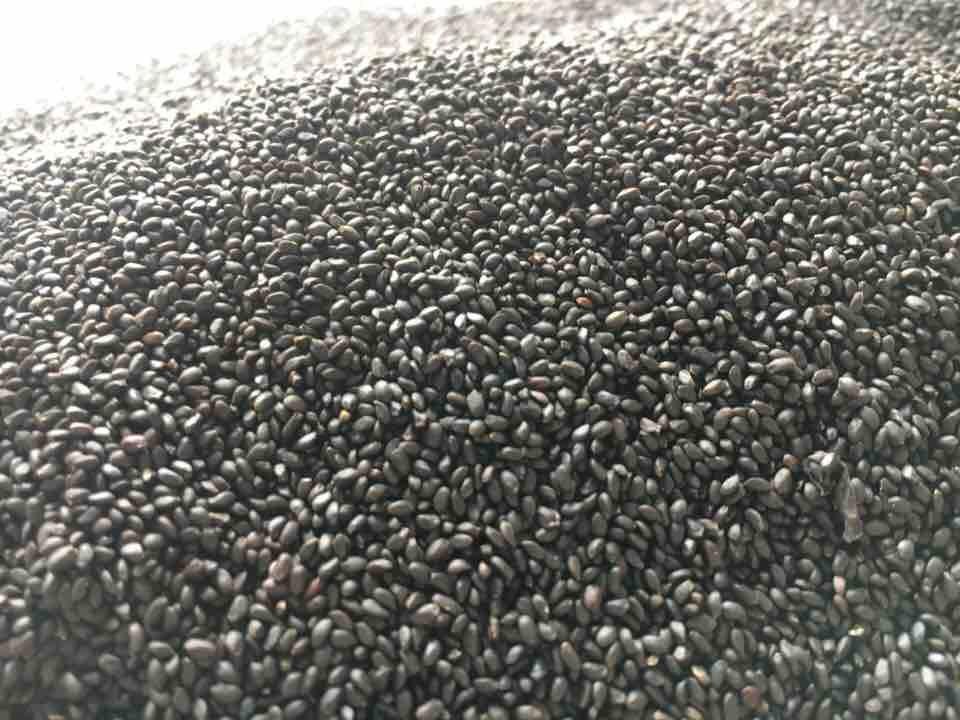Hạt é - 100g