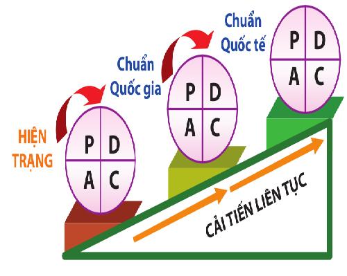 PDCA chuyên nghiệp