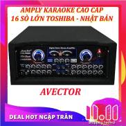 Tặng micro ko dây Amply karaoke 16 sò TOSHIBA nghe nhạc hội thảo AVECTOR