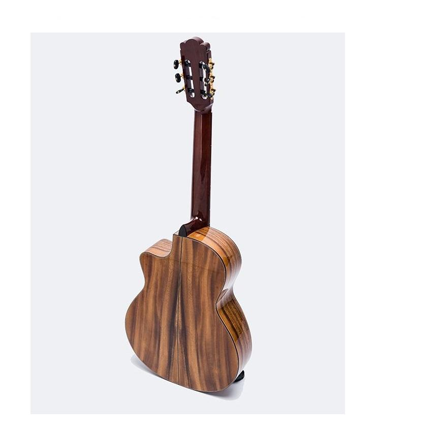 ĐÀN GUITAR CLASSIC DC600