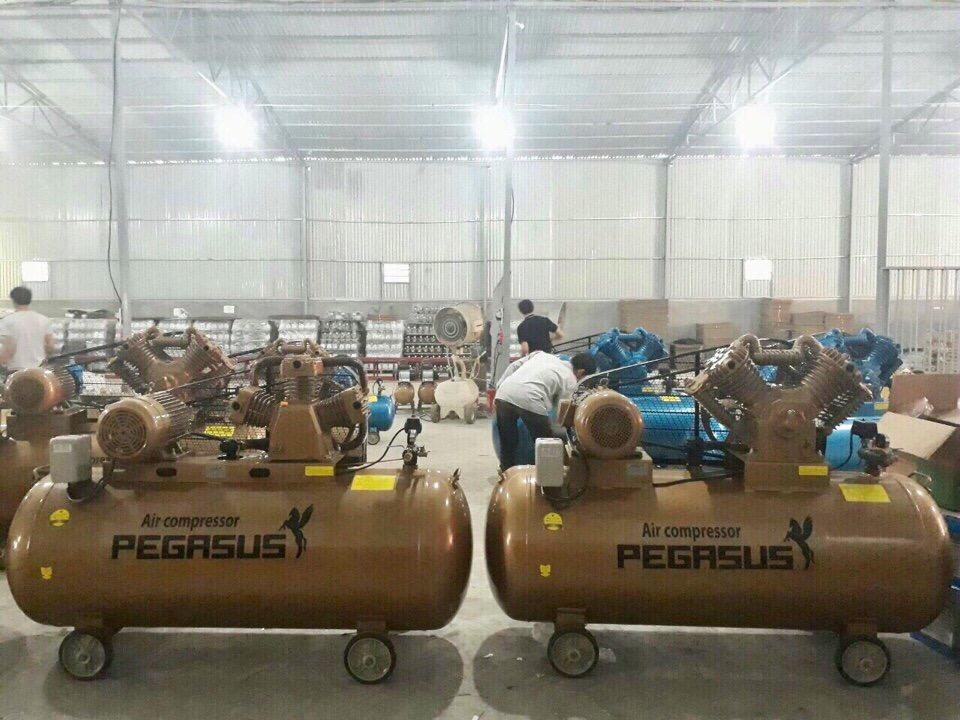 Máy nén khí Pegasus TM-V -0.25/8-70L