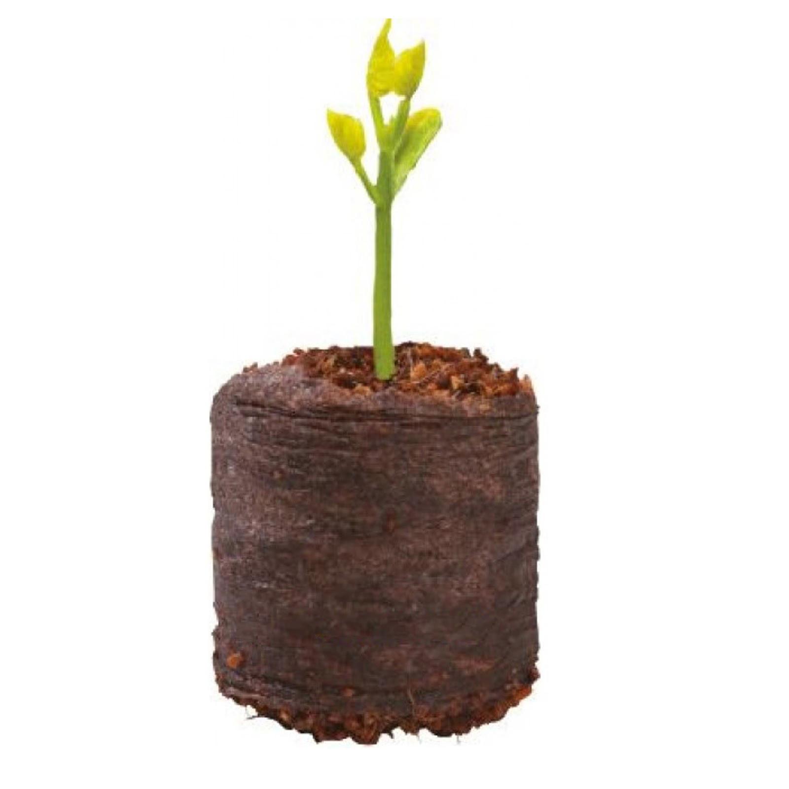 Viên nén ươm hạt (10 viên)
