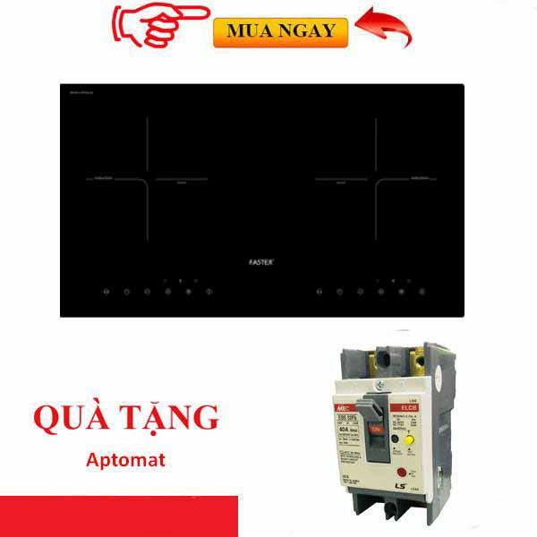 Bếp Từ Faster FS 788I, bếp từ đôi, mua bếp từ, bếp từ nhập khẩu, bếp từ giá rẻ