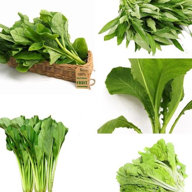 [HCM]Combo 5 loại hạt (Rau muống Bẹ xanh Cải ngọt Mồng Tơi rau dền)
