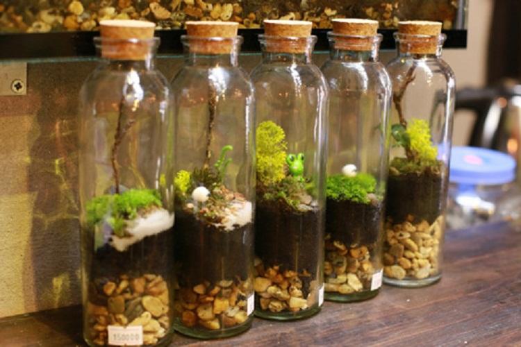 BỘ 3 CHAI TRÒN THỦY TINH NÚT BẦN 350ML