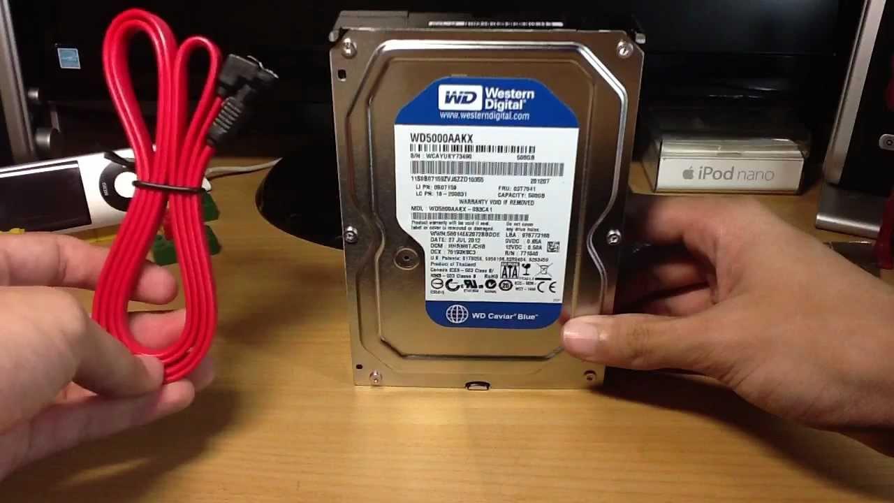 Ổ cứng cho máy tính để bàn Western BULE 250GB / 500GB (kèm dây Sata) Bảo hành 24 tháng 1 đổi 1