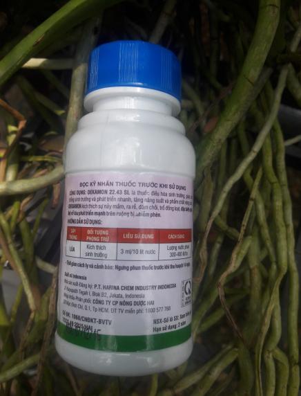 DEKAMON 22.43L Kích rễ, Đâm chồi cây lương thực, cây kiễng, phong lan