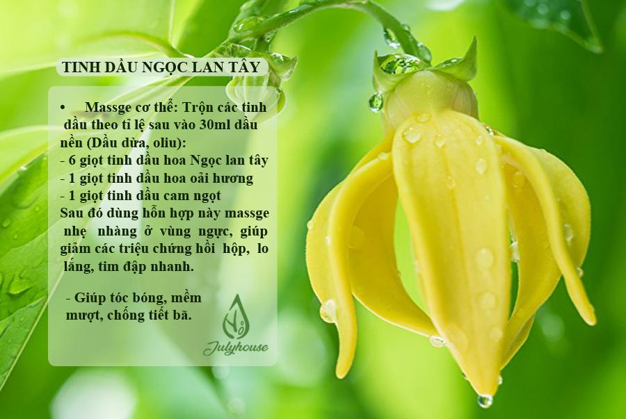 Tinh dầu Ngọc Lan Tây Julyhouse 50ml