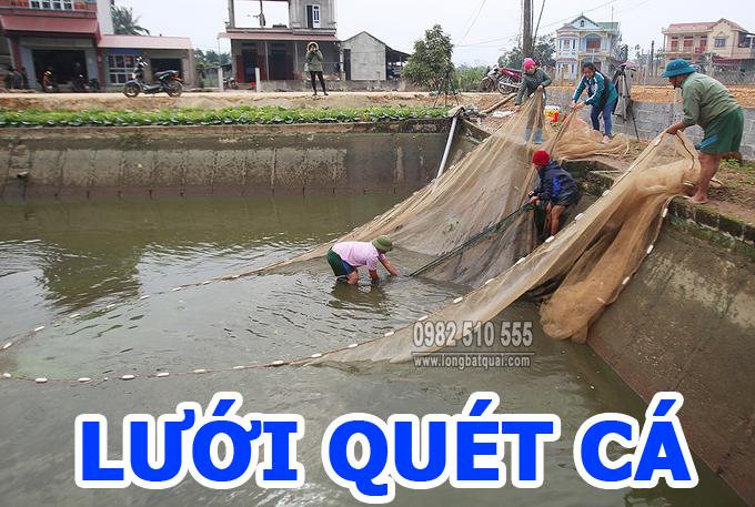 Lưới Kéo Cá - Lưới Quét Cá Cao 2m Dài 20m A Cường ( Đặt hàng theo yêu cầu )
