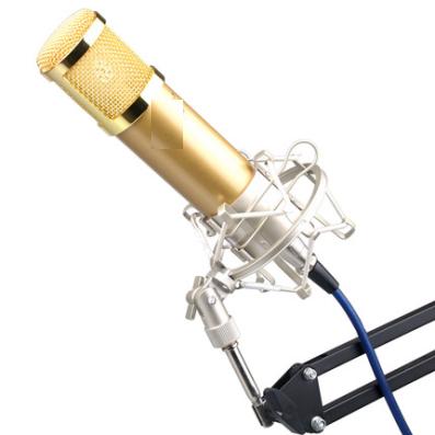 [HCM]MICRO Thu Âm AMI BM900 Livestream Hát Karaoke