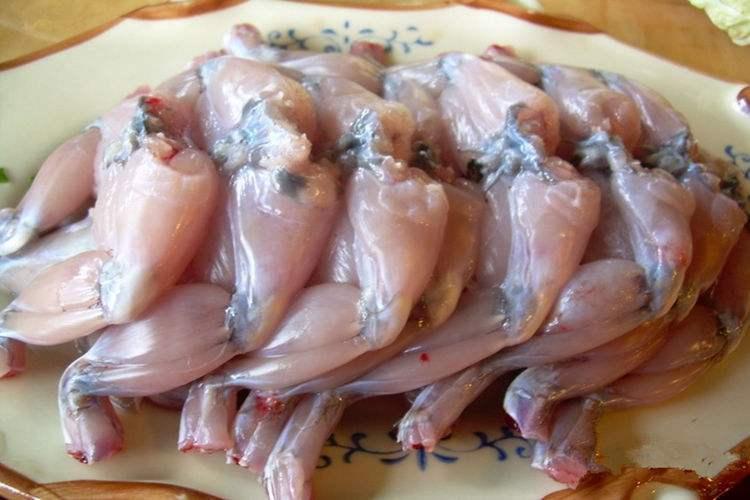Thuốc Dụ ( Nhử ) Ếch Siêu Nhạy