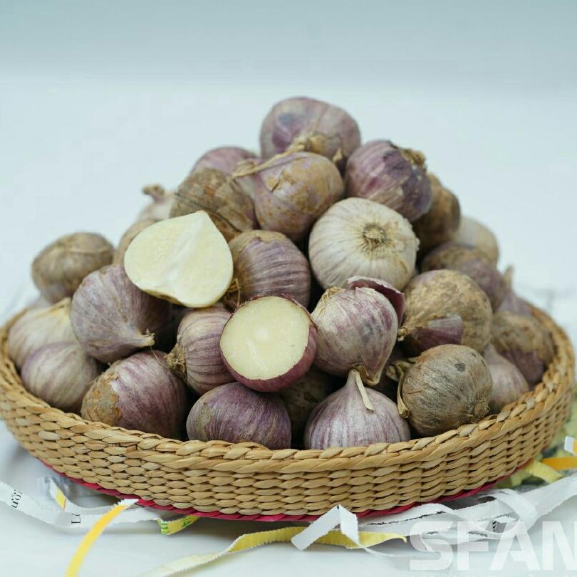 1kg tỏi cô đơn