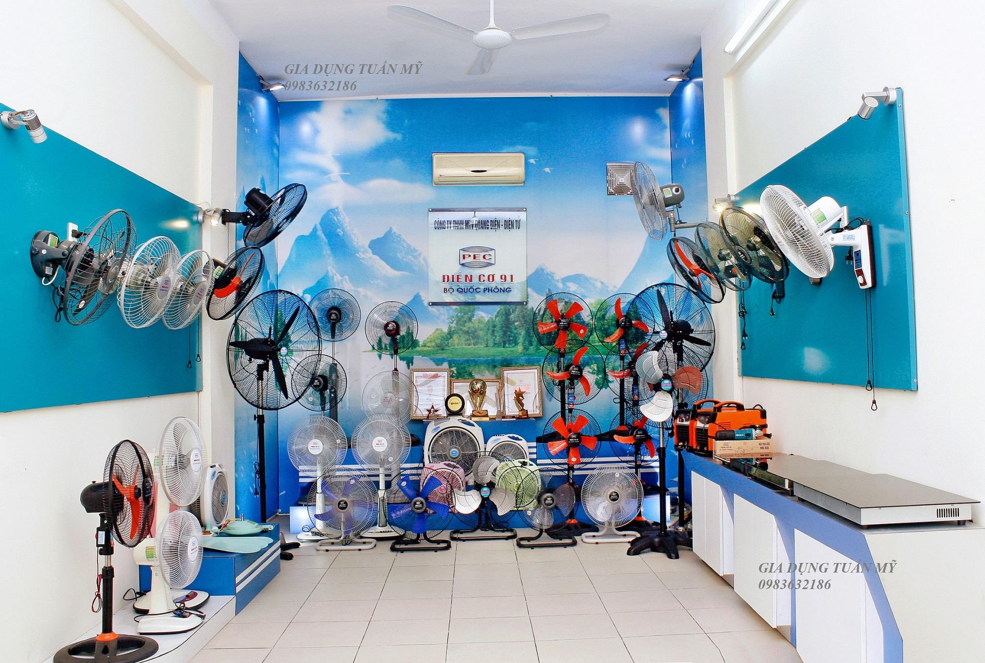 Quạt bàn Điện cơ 91 QB300