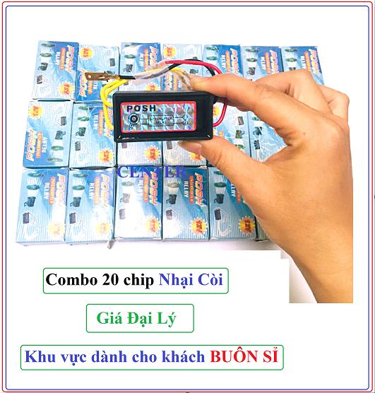 Chíp nhại còi