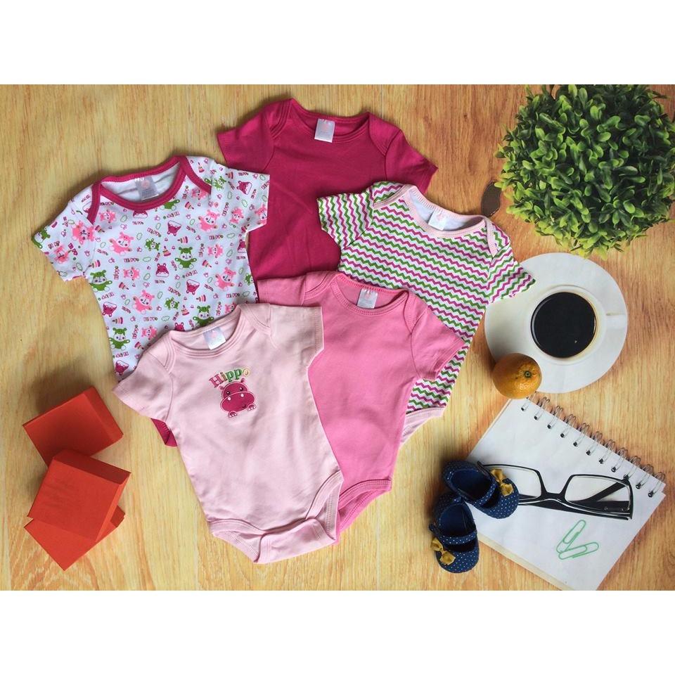 Body hà mã set 5 chiếc