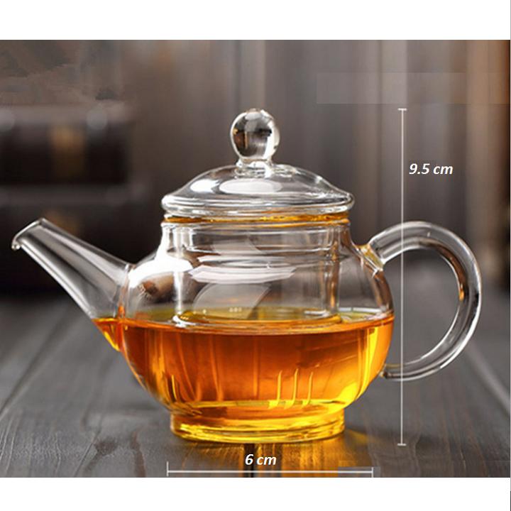 Ấm pha trà thủy tinh Zeno ATT06